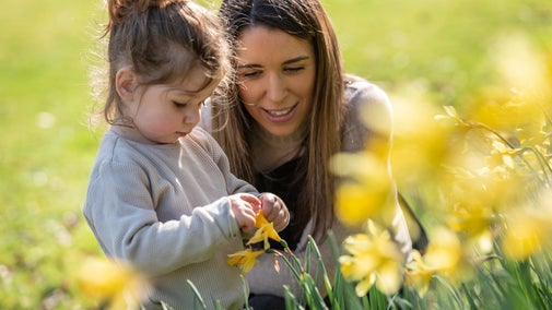 A family enjoying the daffodils